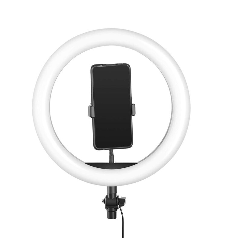 Ring Light with Stand-LED Photography Light for Bloggers Youtubers Instagrammers (10 INCH)